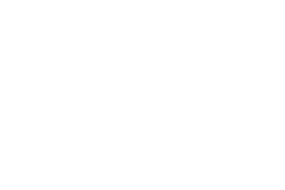 Sight adjustment tool for K31